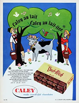 Huty24805 Prints: Caley Dari-Rich Chocolate