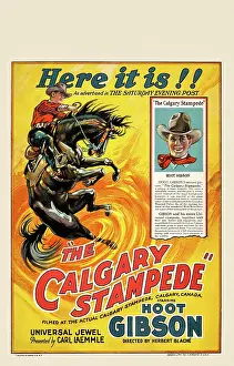 Bronco Prints: The Calgary Stampede