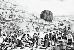Sacramento Prints: California Gold Diggers -- Lithograph