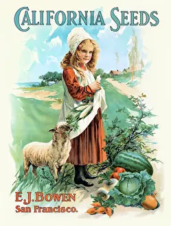 Crops Prints: California Seeds. E. J. Bowen