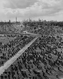Calvary Cemetery, Queens