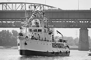 Calypso in St. Louis