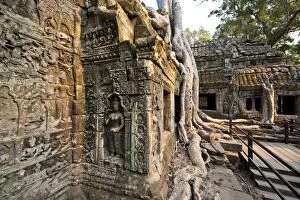 Images Dated 4th April 2015: Cambodia, Siem Reap, Angkor Wat, Ta Prohm Temple