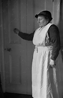 Europ Prints: Cambridge Bedder