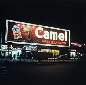 Camel Advert