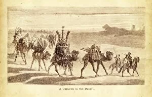Camel Collection: Camel Caravan engraving illustration