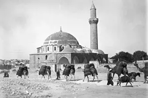 Caravan Prints: Camel Caravan Passing Outside City