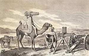 Support Prints: Camel Carrying Machine Gun