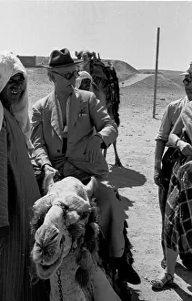 Camel Prints: Camel Ride