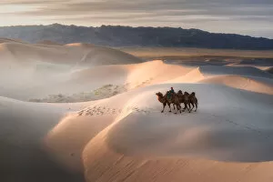Images Dated 27th September 2015: Camel riding on Gobi Desert, Mongolia