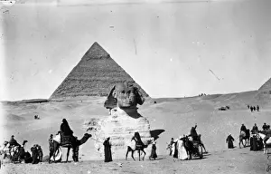 Sphinx Prints: Camel Train