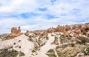 65285 Prints: Camel, tufa rock formations some shaped like people and animals, Turkey, Cappadocia