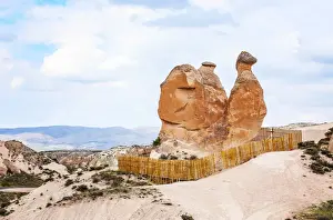 65285 Prints: Camel, tufa rock formations some shaped like people and animals, Turkey, Cappadocia