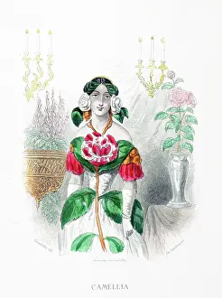 Grandville Prints: Camellia Flower - Stunning Hand-colored plate from 'Les Fleurs Animees by J