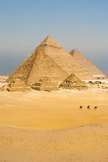 Camel Collection: Camels Line Walk Pyramids All Vertical