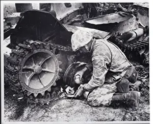 Kitten Prints: Camouflaged Marine Shares Water With Cat
