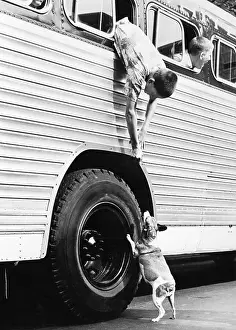 Camp Bound Boy and his Dog