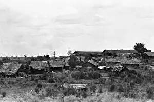 Camp O'Donnell