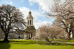 Images Dated 20th March 2016: Campanile in Trinity College, Dublin City, Ireland