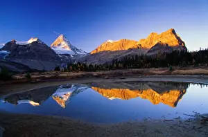 Lake Bed Prints: Canada, British Columbia, Mt. Assiniboine Provincial Park, dried lake