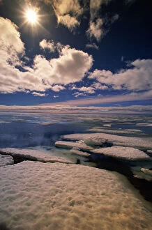 Floating On Water Gallery: Canada, Nunavut, Victoria Island, Northwest Passage