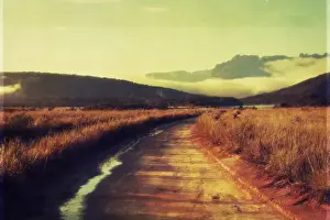 Auto Post Production Filter Prints: Canaima