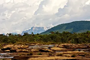 Venezuela Prints: canaima