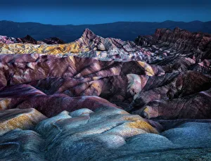 Desert Gallery: Candy Land MutantNature2015