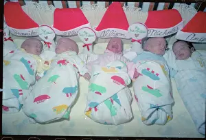 Flushing Prints: Cangialosi Quintuplets