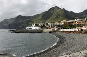Canical, Madeira, Atlantic Ocean, Portugal, Europe