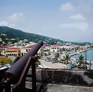 Cannon Overlooking Harbor