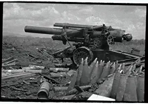 Canons Sitting in Field