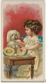 Cantaloupe Trade Card 1891