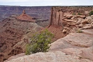 Images Dated 25th October 2011: Canyon Rim, Colorado River, Dead Horse Point State Park, Moab, Utah, USA