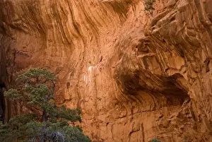 Canyon wall, Arches National Park, Utah, USA