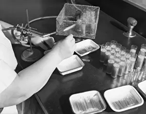 Arms Prints: Capillary Tubes of Smallpox Vaccine