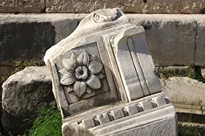 Nature’s Masterpiece: Capital Forum Romanum Rome Italy