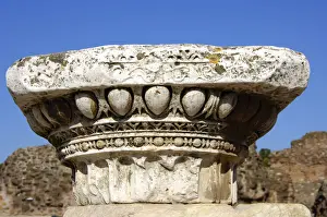 Nature’s Masterpiece: Capital Forum Romanum Rome Italy