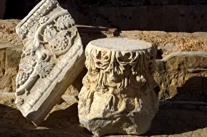 Excavation Prints: Capital and frieze with vine leaf decoration