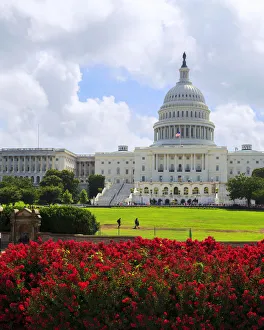 Capitol Building Washington Gallery: Capitol Building, Washington DC, United States