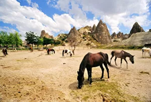 Images Dated 23rd June 2015: Cappadocia landscape with fairy chimneys and farm