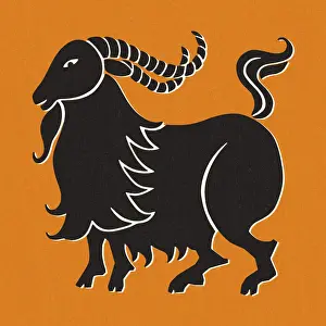 Zodiac Prints: Capricorn
