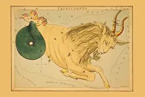 Goat Prints: Capricorn