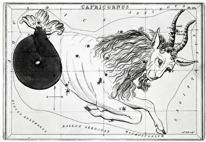 Goat Prints: Capricorn Engraved 1/2 Goat 1/2 Fish