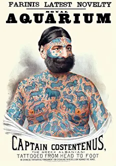 Carnival Prints: Captain Costentenus