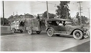 Car Pulling Small Wagons with Cattle
