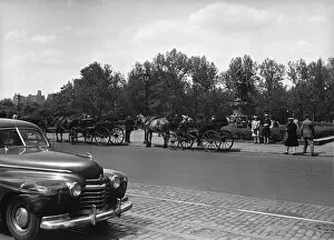 Car riding on street along park, horse carriages on other side, (B&W)