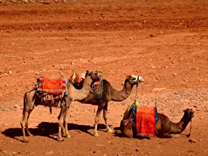 Caravan