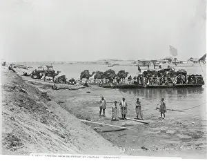 Algeria Prints: Caravan from Palestine at Kantara