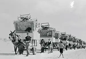Caravan of Wagons with Furniture